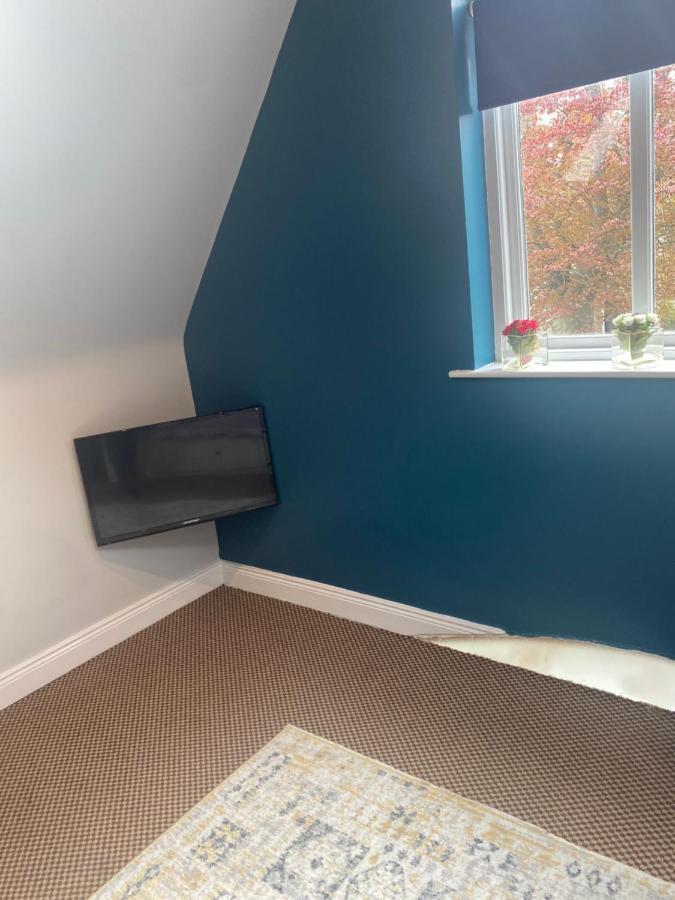The Willows Lovely Double Apartment Rostrevor Ngoại thất bức ảnh